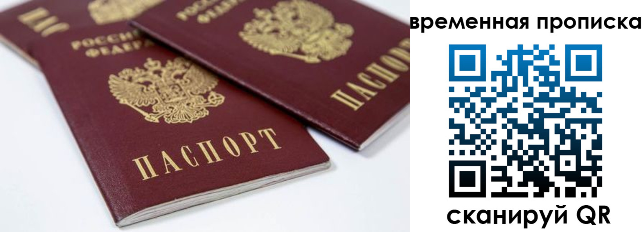 прописка для школы в Солнечногорске